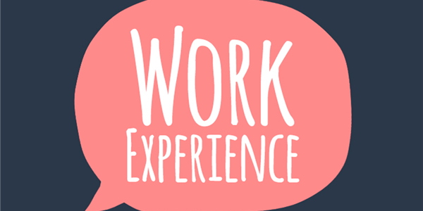 Work Experience And Employers CSW Group Ltd 